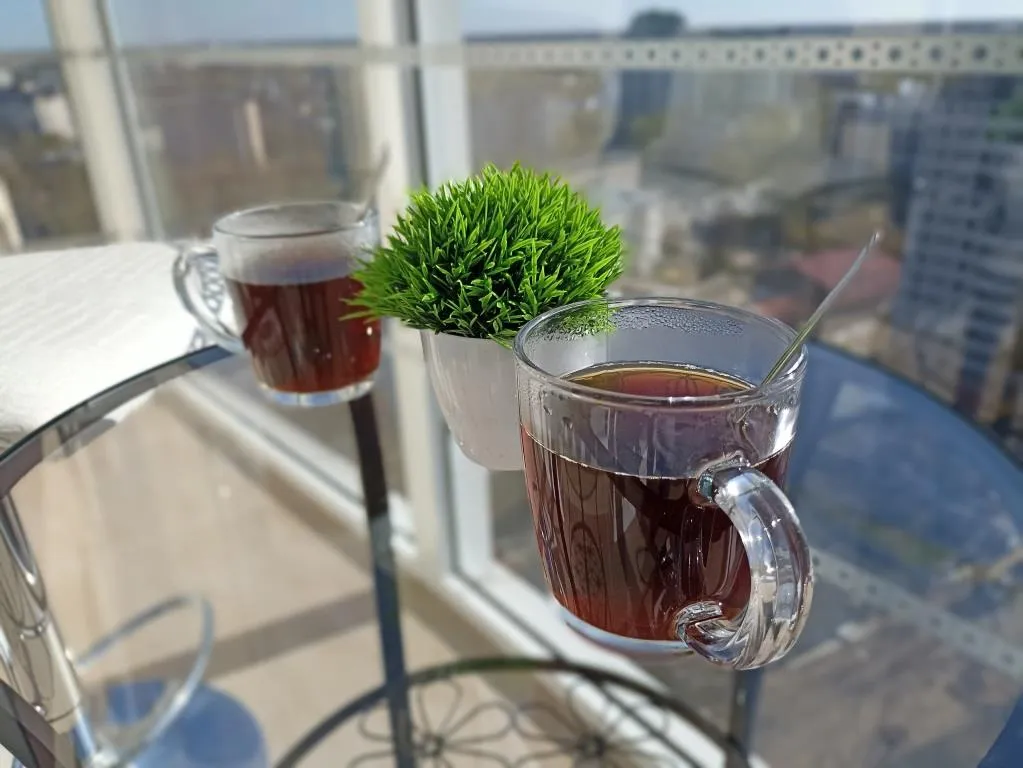 Видовая студия в центре города сети Все в гости