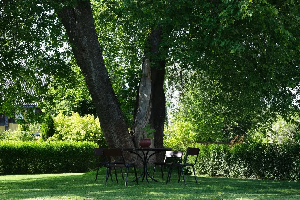 АРТ- хижина для двоих