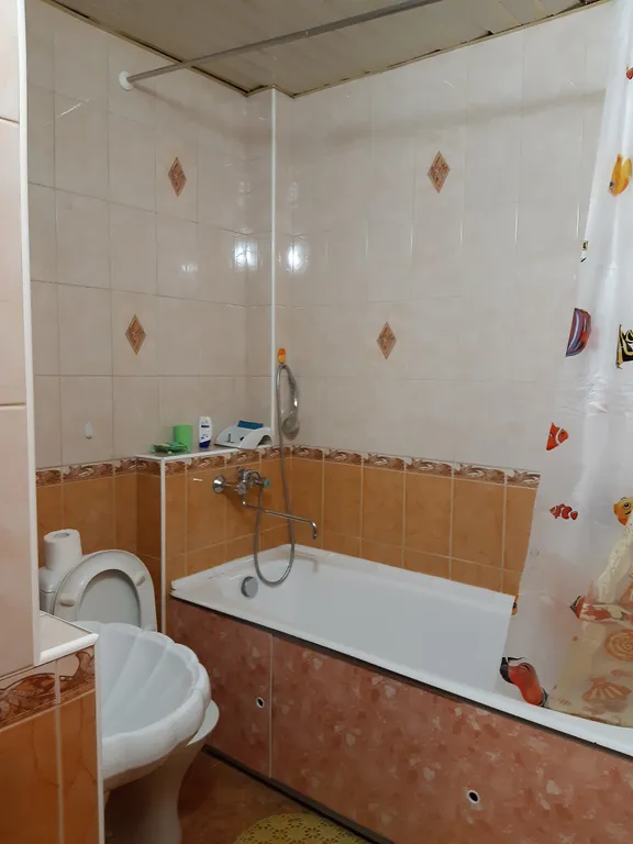 Студия в Лисихе