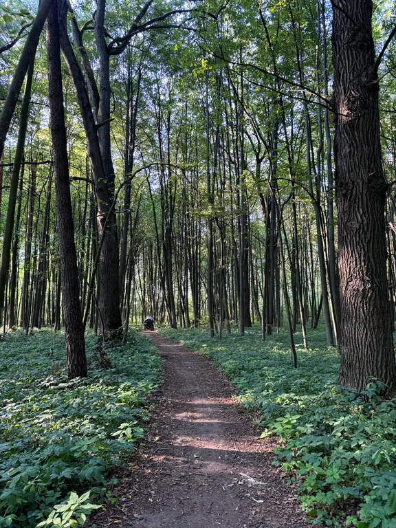 Уютный дом с сауной, в стиле барнхаус, недалеко от реки