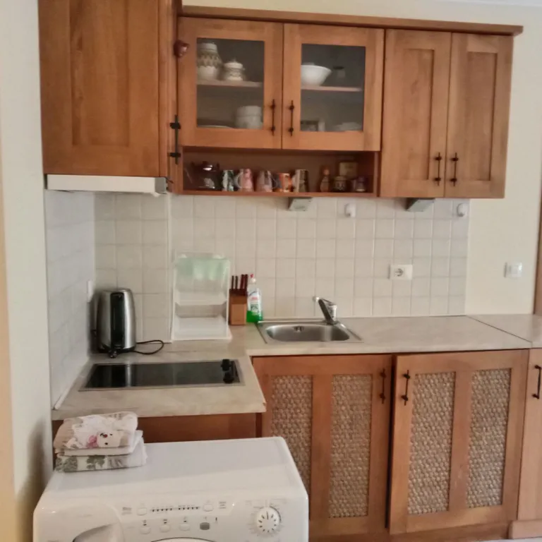 Трехкомнатный люкс в соснах у моря в Санта Марина