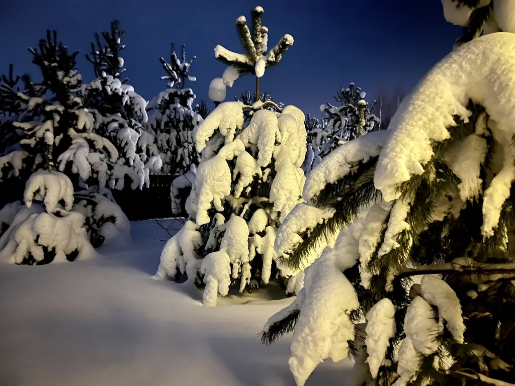 Коттедж 44м в лесу у пруда