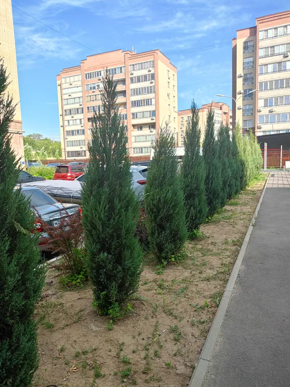 Квартира Квартира в новостройке возле Мамаева Кургана и Микрохирургии глаза — Волгоград