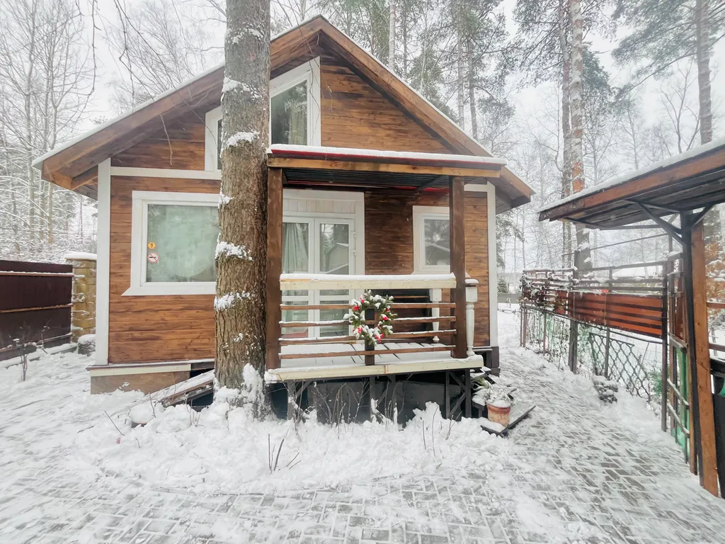 Уютный дом с гусями