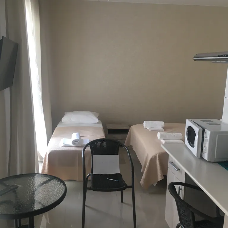 Квартира Просторная комната-студия в Олимпийском парке — Сириус