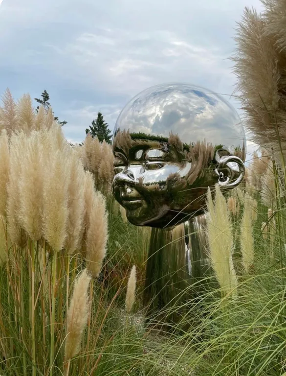 Квартира с видом на стадион Краснодар