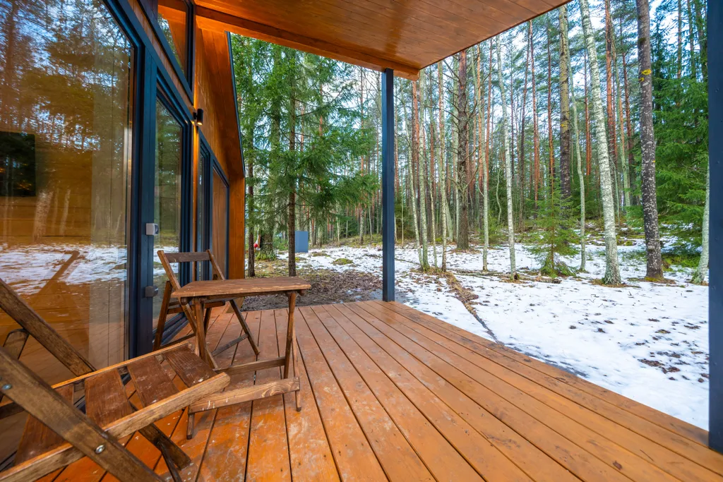 Дом с видом на лес