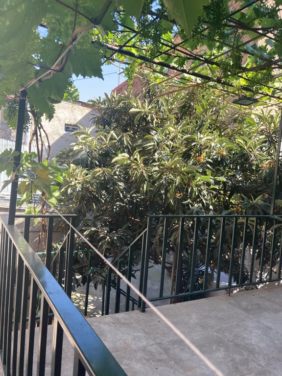 Уютная студия квартира в Тбилисском дворике в центре города