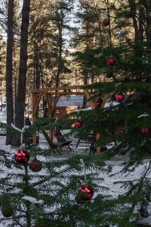 Коттедж Домики в лесу Миллениум — Архыз