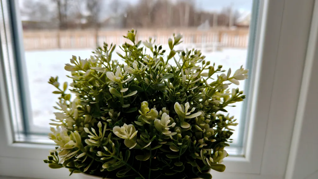 Дом с террасой