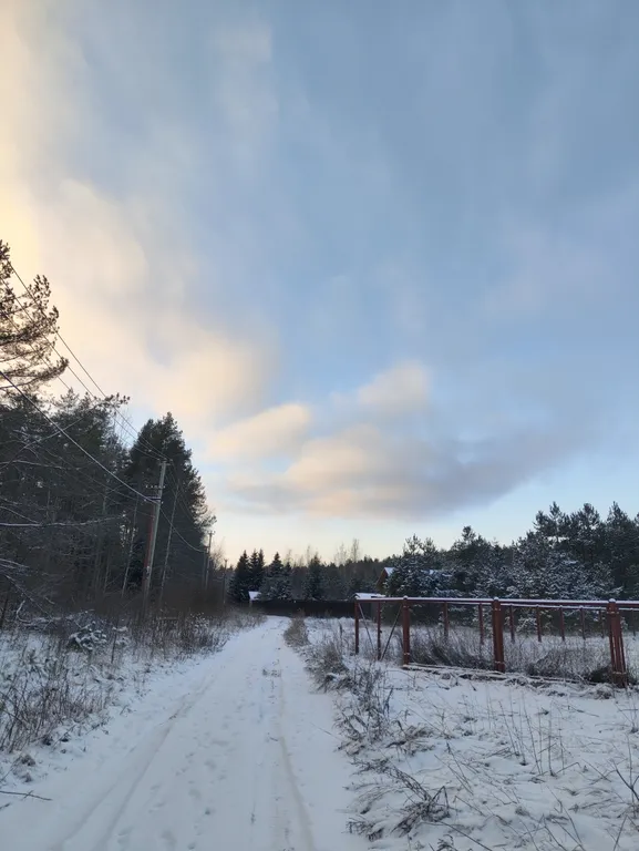 Дом в сосновом лесу у Финского залива
