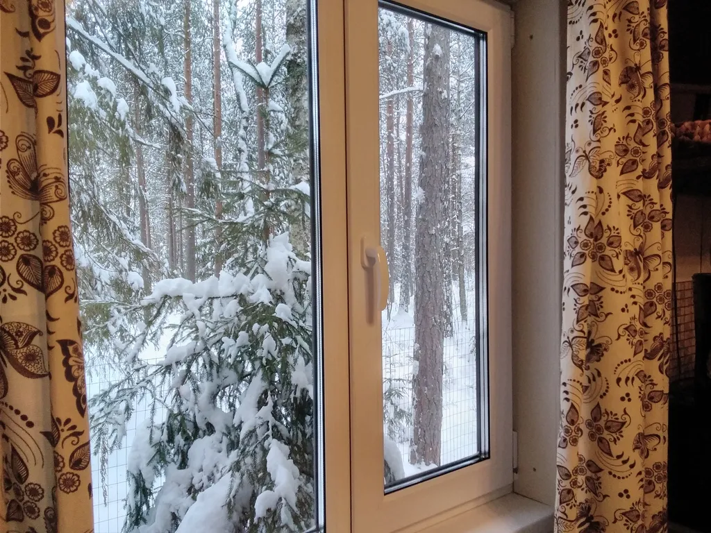 Уютный флигель у озера Большое Борково