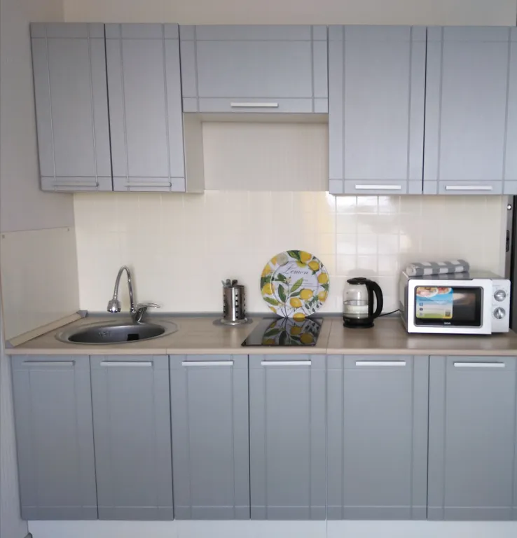 Студия с видом на лес