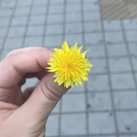 Иван