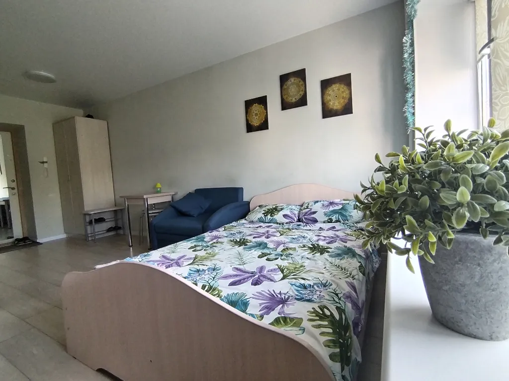 Квартира-Студия Автовокзал-Арена-Агрегатный завод