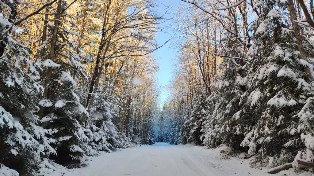 Уютный дом с баней