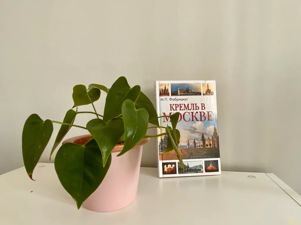 Квартира Атмосферная квартира в лучшем районе города — Лобня