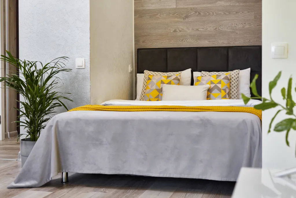 Luxury apartments of your dreams