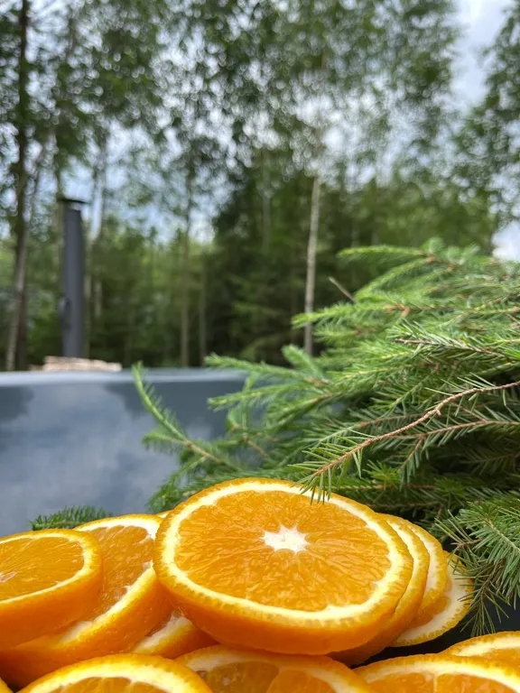 Коттедж Дом у леса для душевного отдыха — Александров