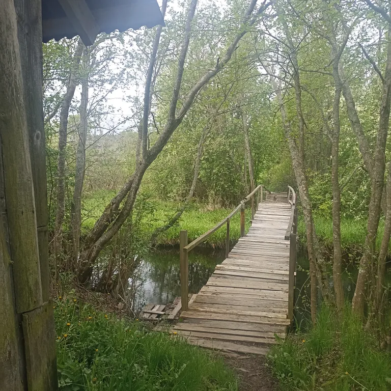 Уютный дом на берегу реки в 10 км от центра города Выборга