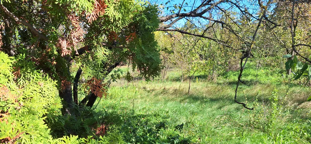 Дом с круглогодичным тёплым бассейном