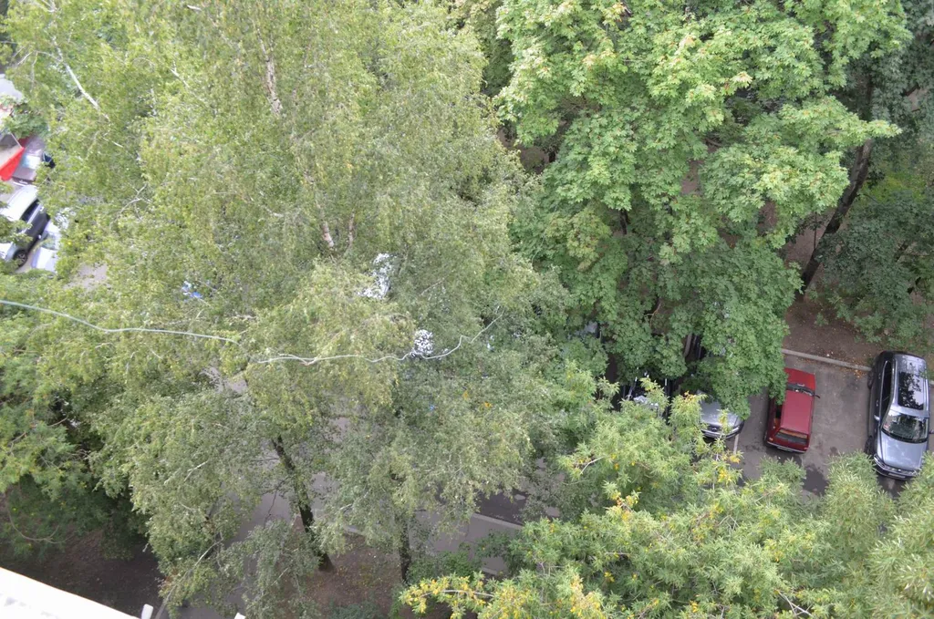 Квартира Двухкомнатная квартира, светло, уютно, комфортно у метро Бабушкинская — Москва