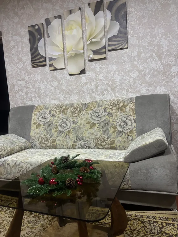 Уютная трехкомнатная квартира со всеми удобствами в центре города