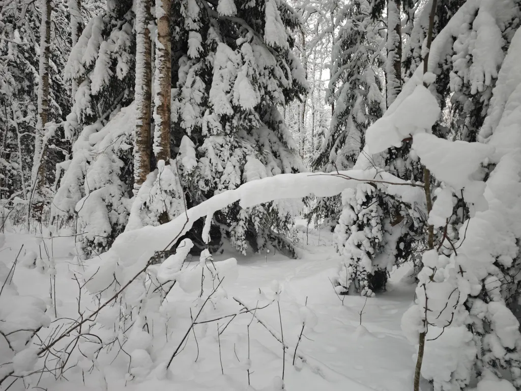 Семейный дом с баней и печью