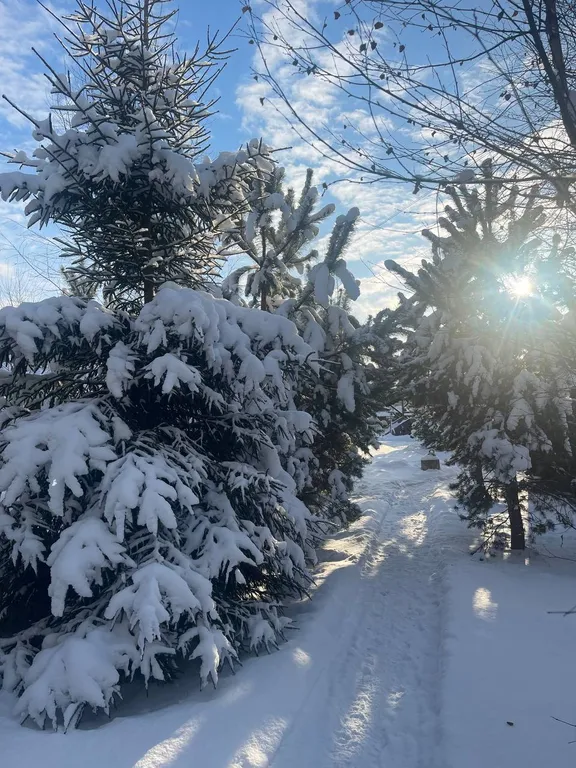 Двухэтажный дом для отдыха на природе с баней