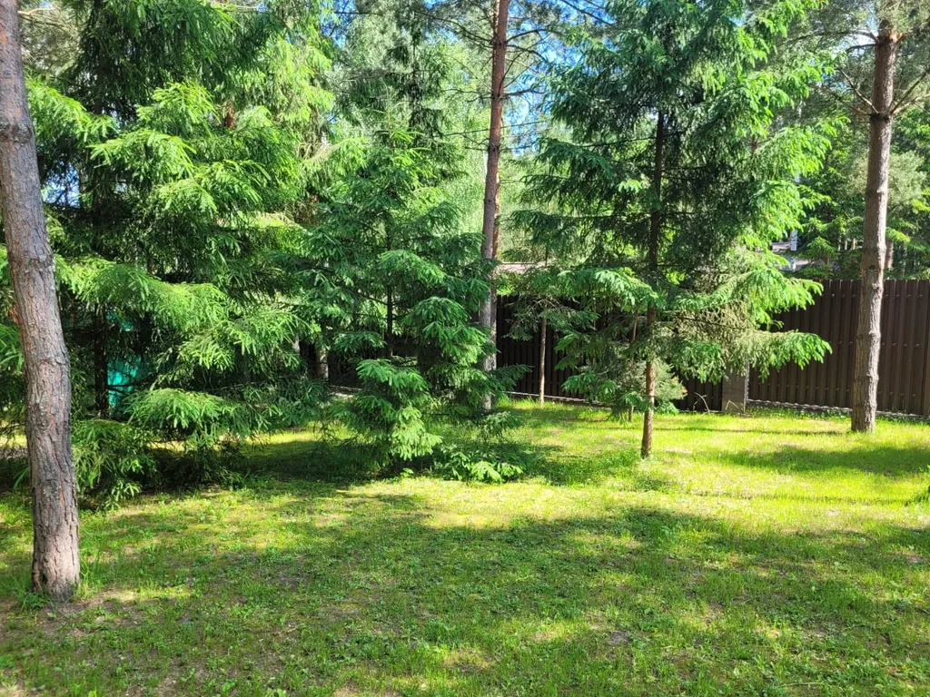 Дом в сосновом лесу