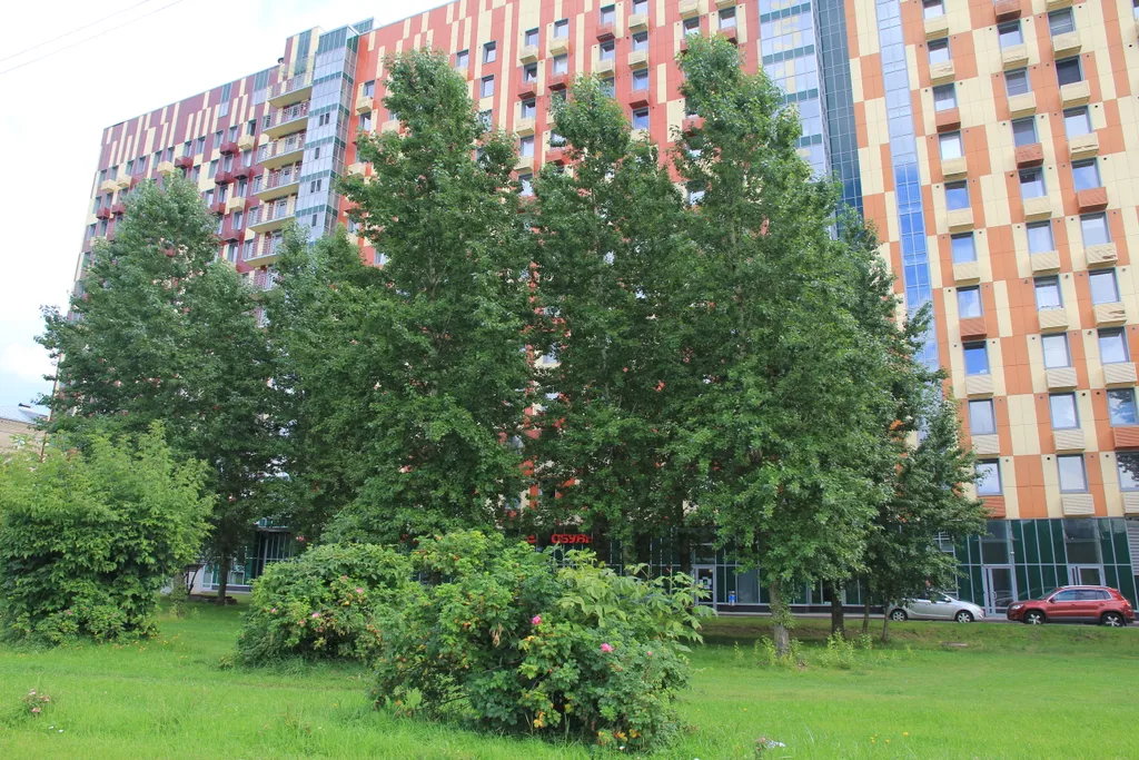 Квартира 1-комнатная Квартира — Москва