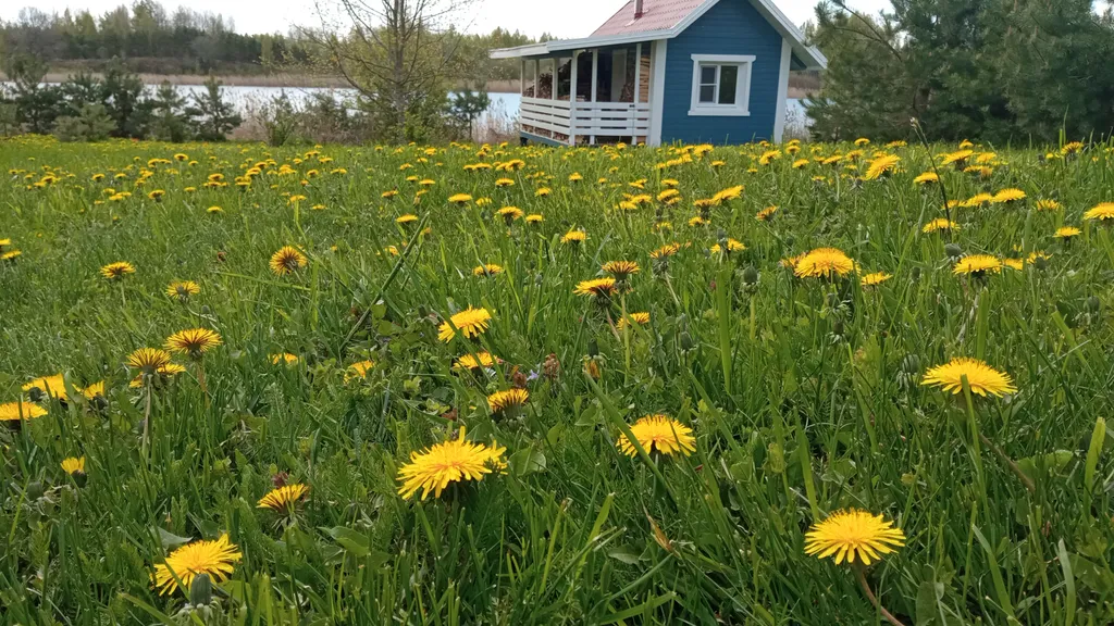 Домик у самого озера