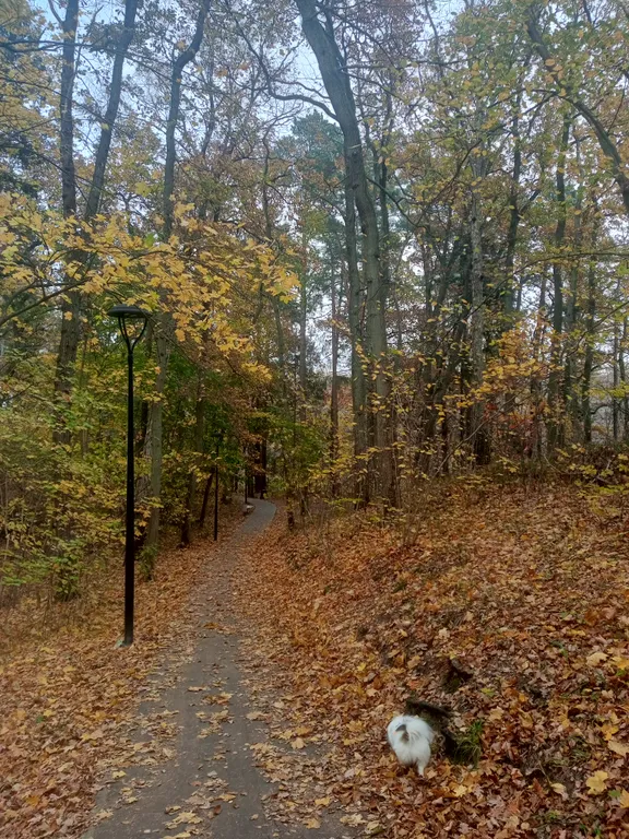 Уютные апартаменты