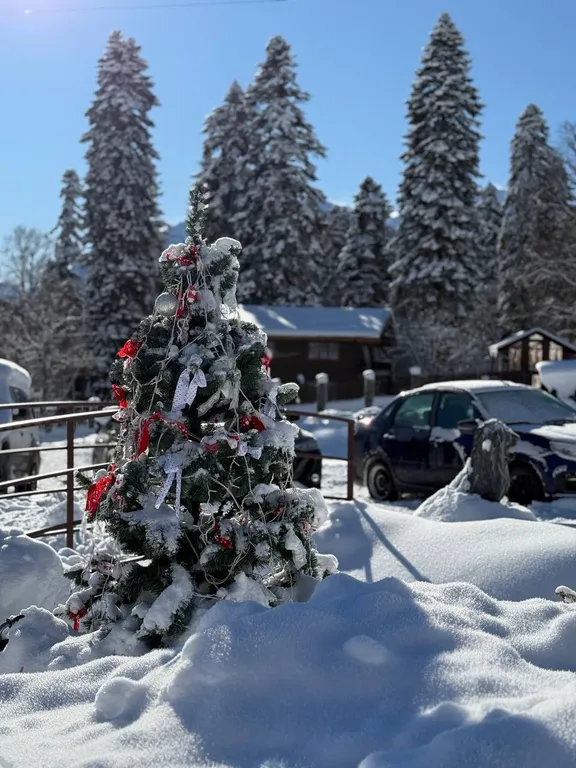 Уютный дом с прекрасными видами