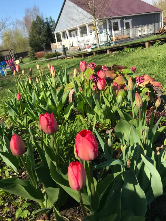 Пушкинские Горы