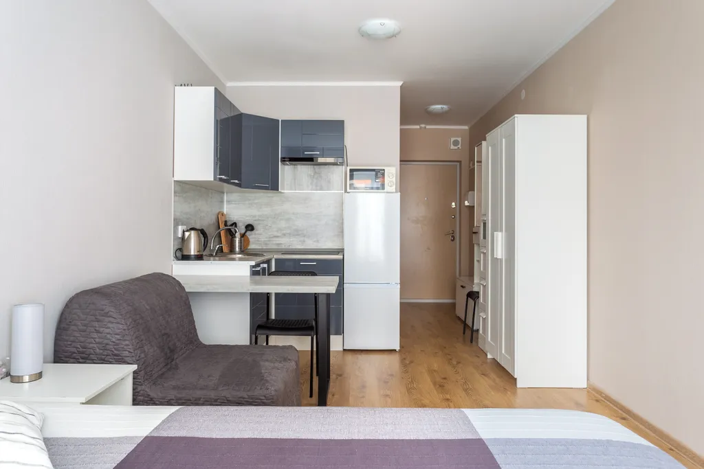 Студия у метро Парнас