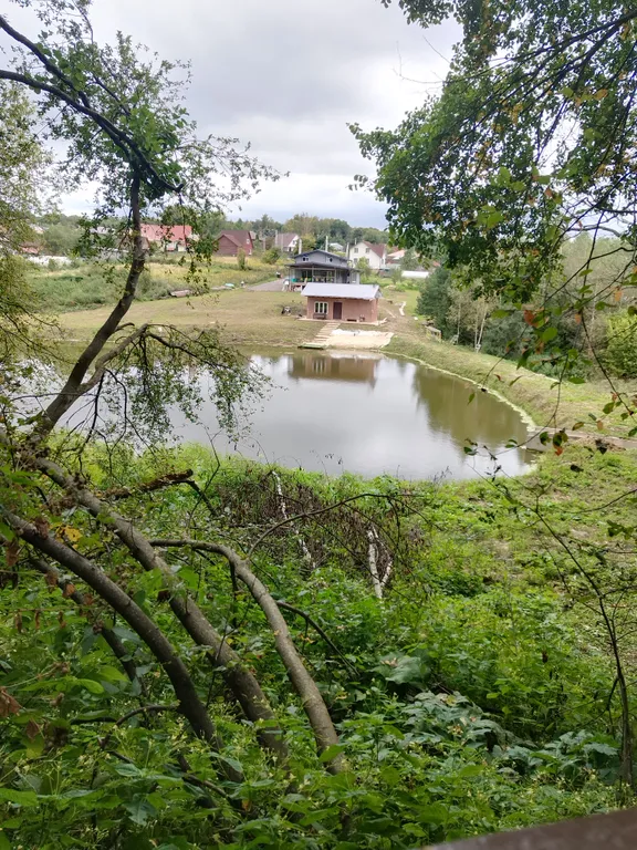 Уютный дом с русской баней на пруду у леса