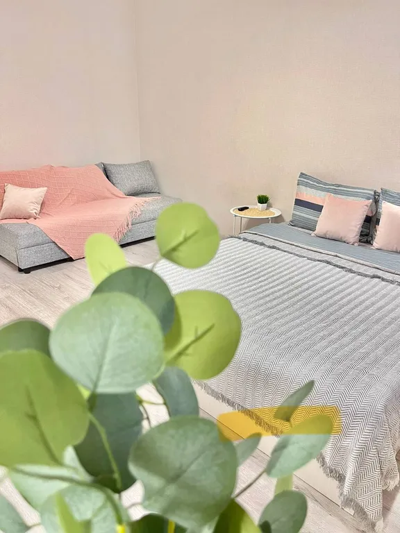 Уютная однокомнатная квартира