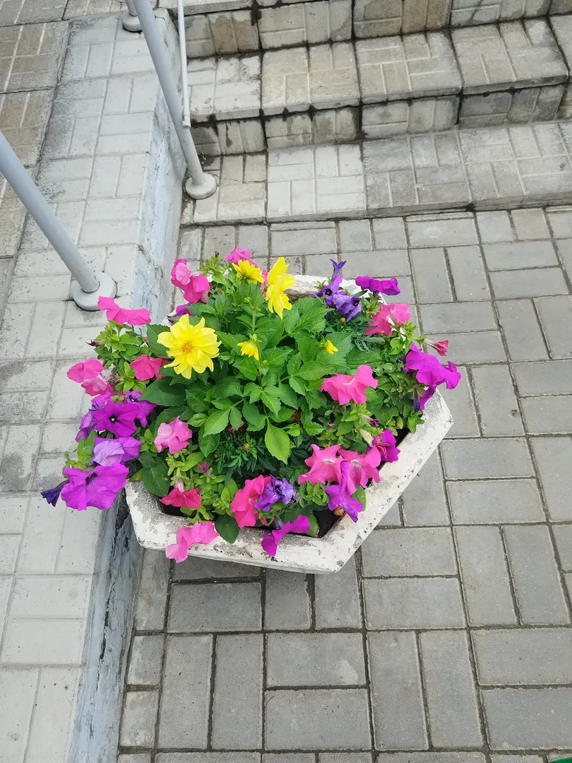 Фото