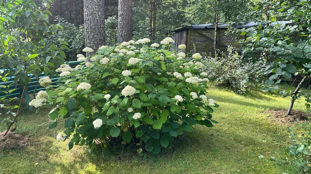 Коттедж Дом у залива — Зеленая Роща