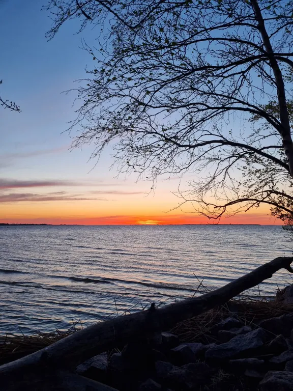 Уютная дизайнерская квартира на берегу Финского залива