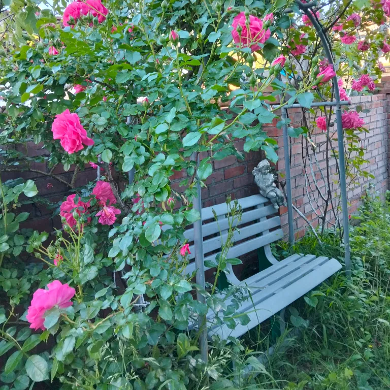 2 комнаты для большой семьи у  Черного моря