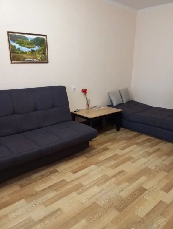 Двухкомнатная квартира возле Парка Победы