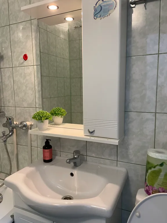 Уютная однокомнатная квартира