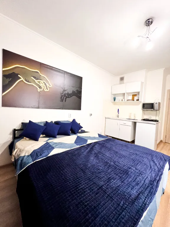 Уютная студия в Девяткино