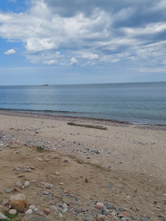 Квартира 1-я квартира в новом жилом комплексе Рыбное с огороженной территорией — Пионерский