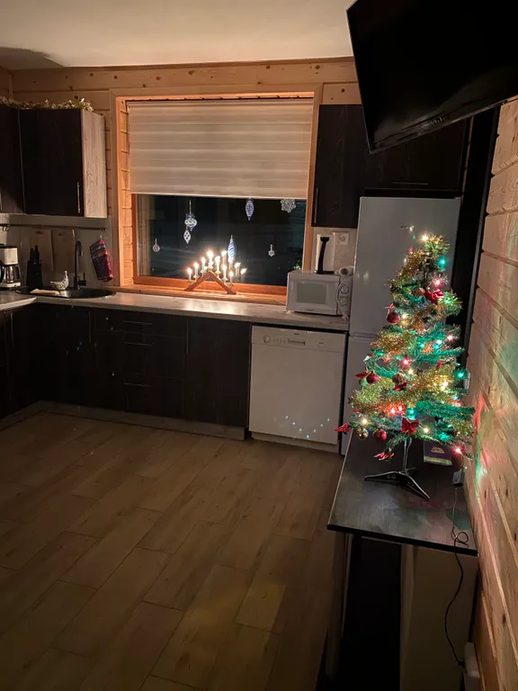 Частный дом на берегу Ладожского озера