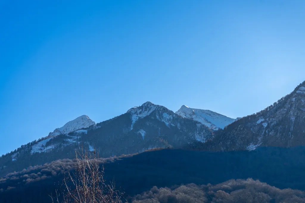 Зеленая студия в ЖК Гринберг