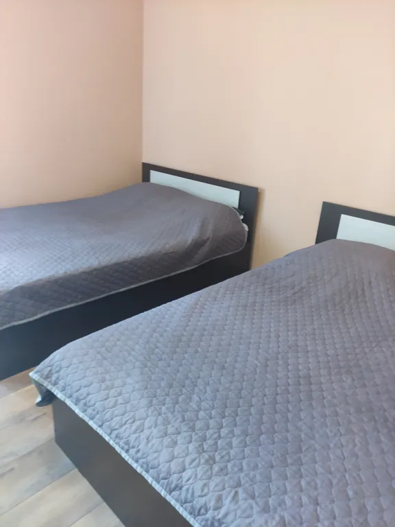 Стильная двухкомнатная квартира на Заельцовской