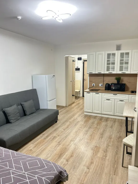 Апартаменты DreamHouse у Аэропорта